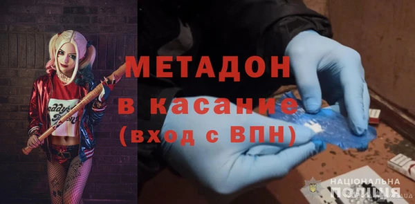 прущие грибы Верея
