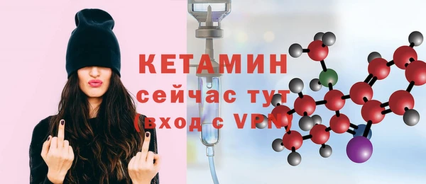 прущие грибы Верея