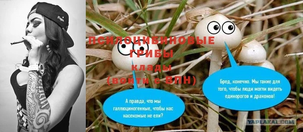 гашик Верхний Тагил