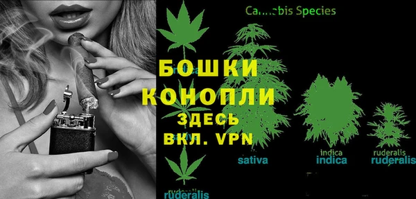 прущие грибы Верея