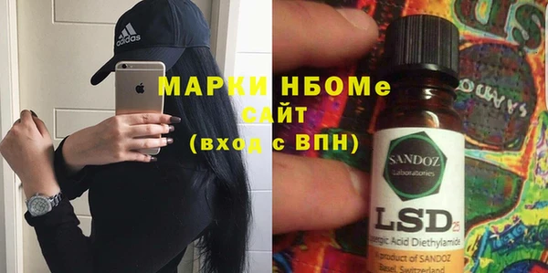 прущие грибы Верея