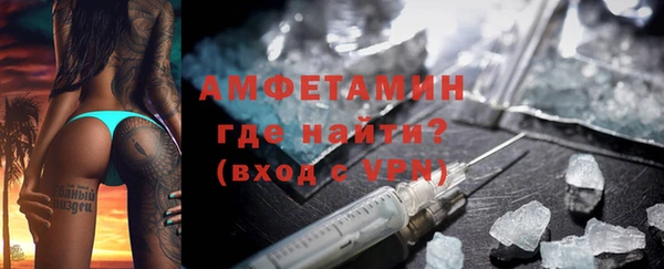 прущие грибы Верея
